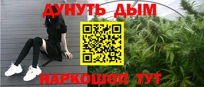 индика Гудермес