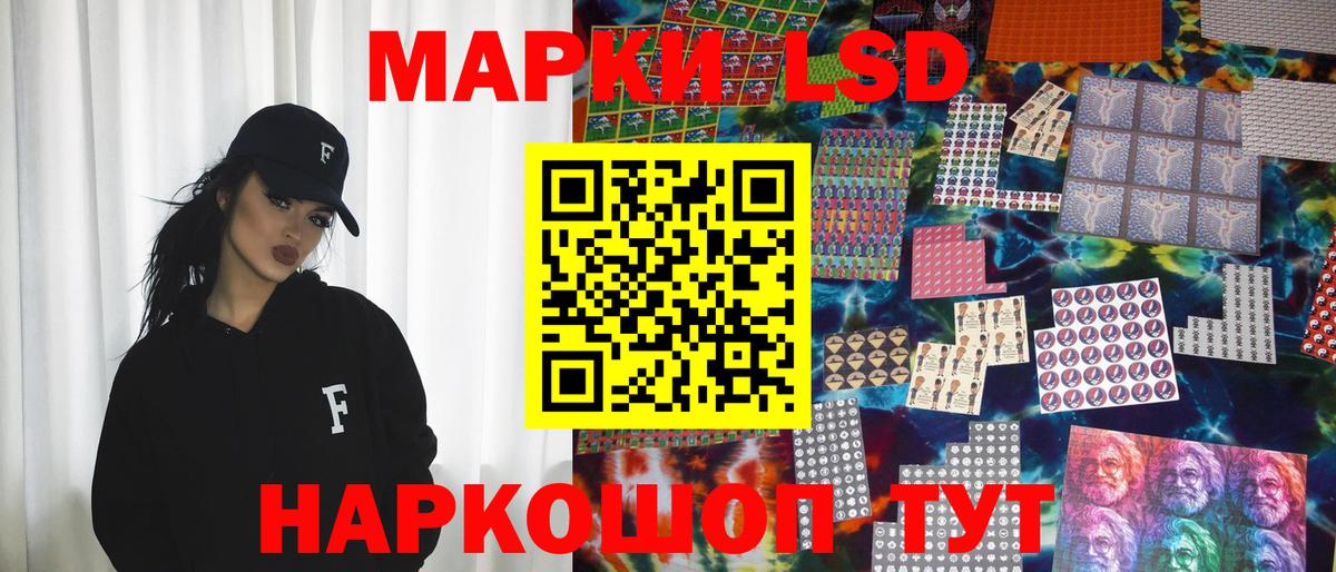 Галлюциногенные грибы Луга
