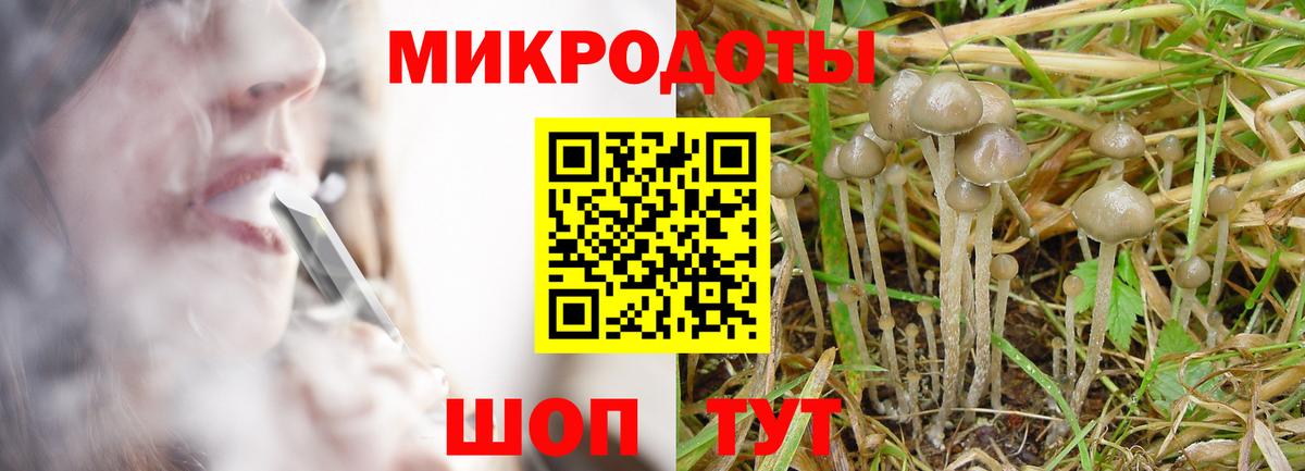 Псилоцибиновые грибы MAGIC MUSHROOMS Луга