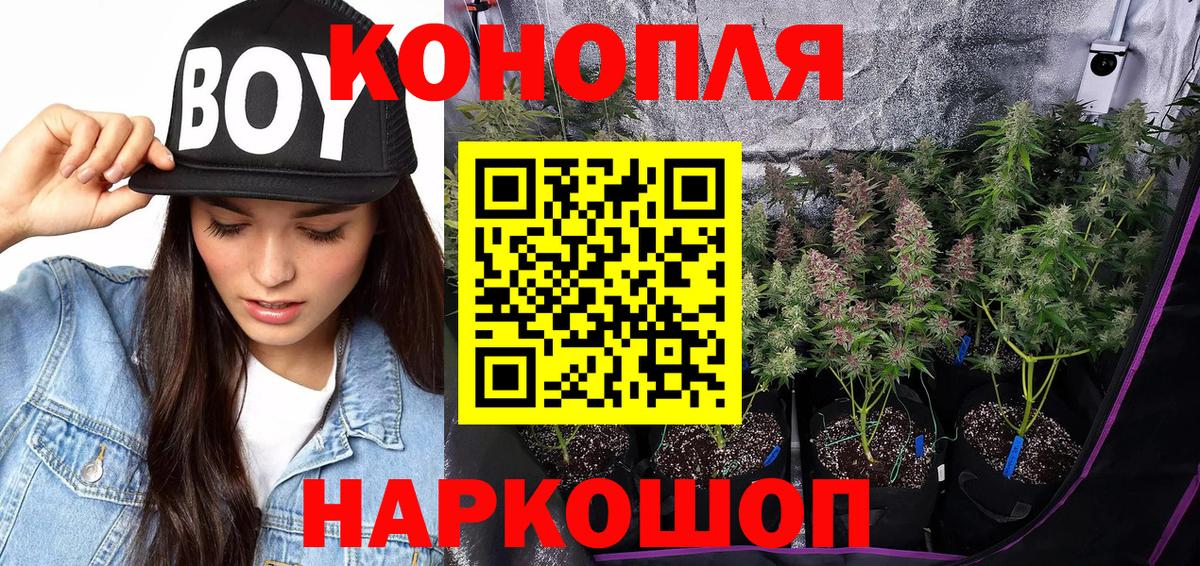 Луга  Канабис Amnesia  Бошки Шишки индика  Вход с VPN 